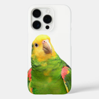 Funda iPhone 16 Pro Loro cacique