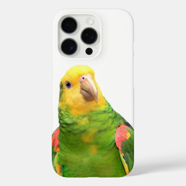Funda iPhone 16 Pro Loro cacique (Reverso )