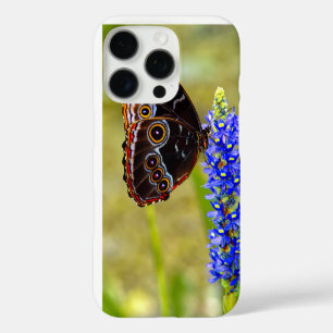 Funda iPhone 16 Pro Mariposa morfo azul en una orquídea de mariscos