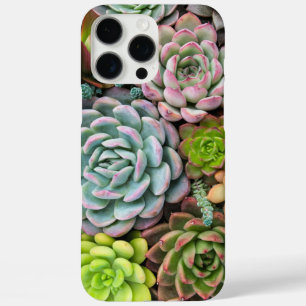 Funda iPhone 16 Pro Max Casos de teléfono Cactus Succulens