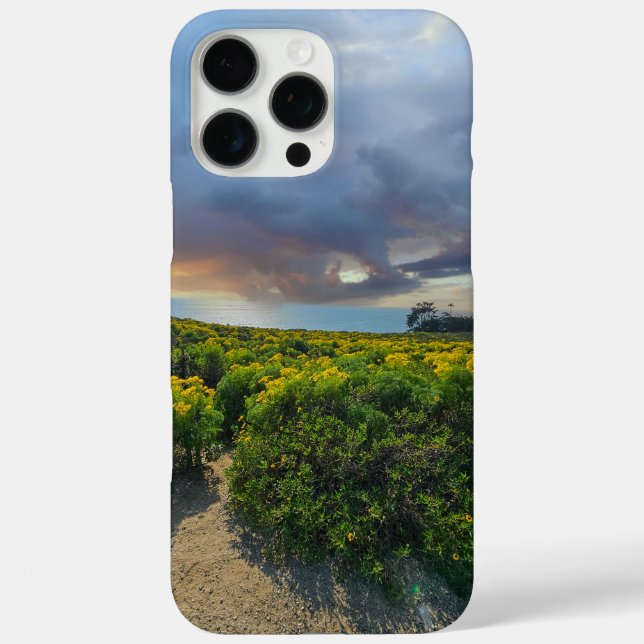 Funda iPhone 16 Pro Max Dramáticos cielos al atardecer en Point Dume (Reverso )