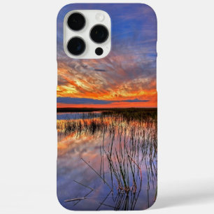 Funda iPhone 16 Pro Max Everglades de Florida