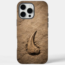 Fósil de garra de Raptor 