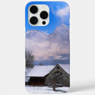 Funda iPhone 16 Pro Max Granero
