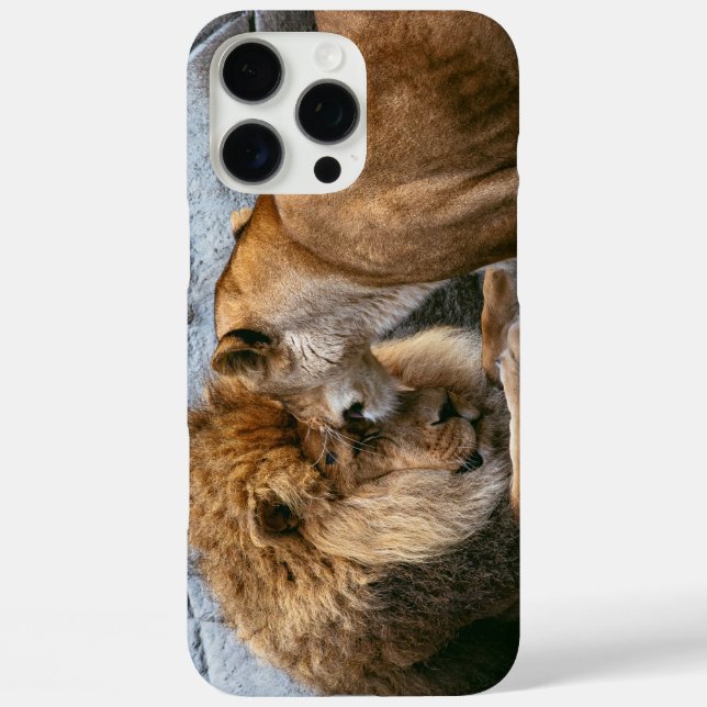 Funda iPhone 16 Pro Max León (Reverso )