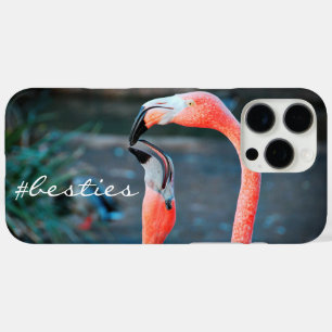 Funda iPhone 16 Pro Max Pájaros Flamingo Rosa Foto Amigos Bestis Script