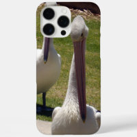 Pelican Con Una Actitud,