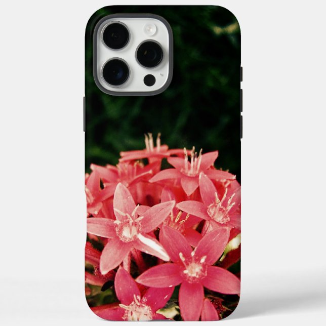 Funda iPhone 16 Pro Max Rosa (Reverso)