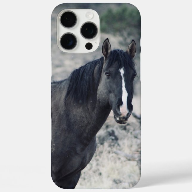 Funda iPhone 16 Pro Max Valor (Reverso )