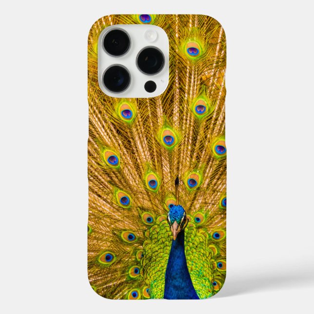 Funda iPhone 16 Pro Peacock, cataratas plateadas, Kauai, Hawaii (Reverso )