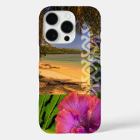 Playa de Anini, Collage hawaiano de Kauai