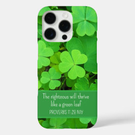 Funda iPhone 16 Pro Ropa verde foto prosperidad Biblia contra cutis
