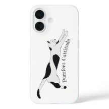 Profundidad Cattitude