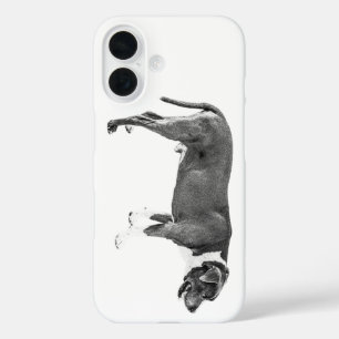 Funda iPhone 16 Protector de temporada de cosecha