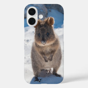 Funda iPhone 16 Quokka Happy Animal on the Beach Australia