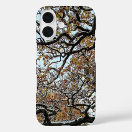 Funda iPhone 16 Ramas , con hojas de naranja y nieve