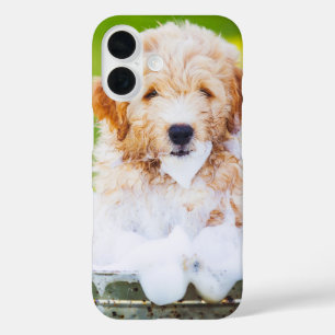 Funda iPhone 16 Regalo de recuerdo de foto de mascota personalizad