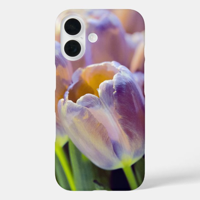 Funda iPhone 16 Retrato de Tulip (Reverso )