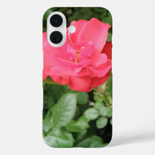 Funda iPhone 16 Rosa silvestre
