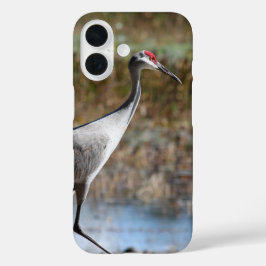 Funda iPhone 16 Sandhill Crane