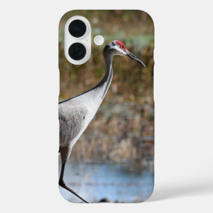 Funda iPhone 16 Sandhill Crane