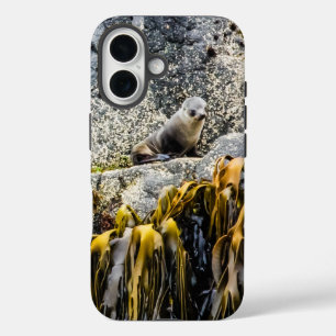 Funda iPhone 16 Sello De Piel Joven En La Roca