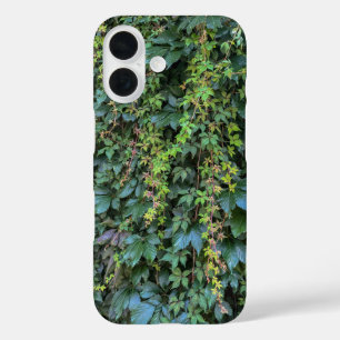 Funda iPhone 16 Serene Green Ivy Wall Colgando Vinas Plantas
