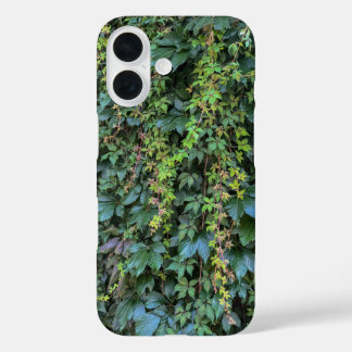Funda iPhone 16 Serene Green Ivy Wall Colgando Vinas Plantas