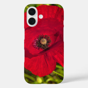 Funda iPhone 16 Serie de amapola #2