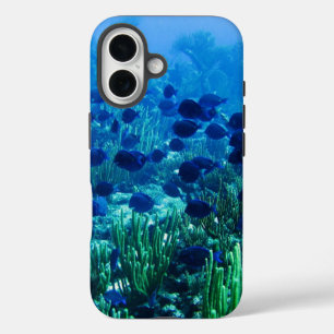 Funda iPhone 16 Shoal de Blue Discus Fish Underwater Photo