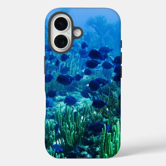 Funda iPhone 16 Shoal de Blue Discus Fish Underwater Photo (Reverso )