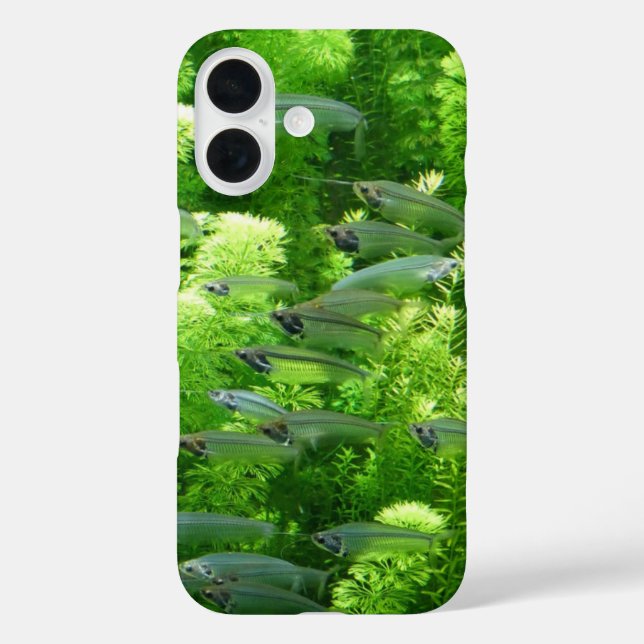 Funda iPhone 16 Shoal of Transparent Silver Fish (Reverso )