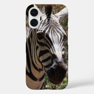 Funda iPhone 16 sonrisa cebra