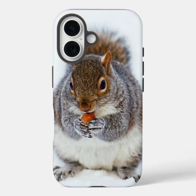 Funda iPhone 16 Squirrel Eating a Nut Cute Winter Photo (Reverso )