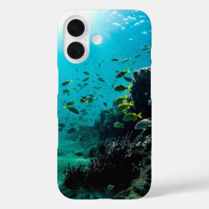 Funda iPhone 16 Sunshine and Tropical Fish
