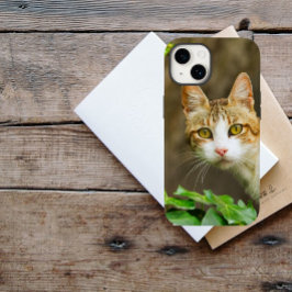 Funda iPhone 16 Tabby y gato blanco y marfil