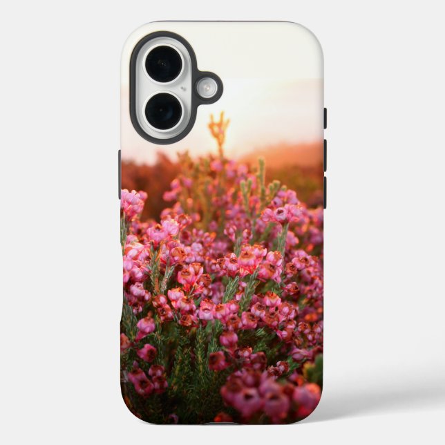 Funda iPhone 16 Tapa telefónica: Erica-Daphniflora (Reverso )
