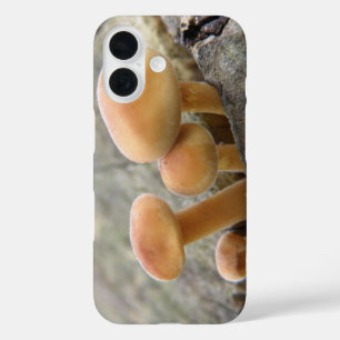 Funda iPhone 16 Toadstools en un estuche para iPhone troncal de ár