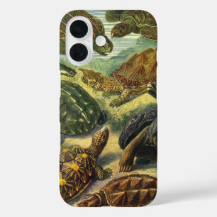 Funda iPhone 16 Tortugas Marinas Tortuga Terrestre Vintage por Ern