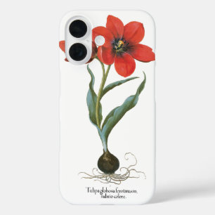 Funda iPhone 16 Tulipán de Jardín Rojo Primaveral Antiguo por Besl