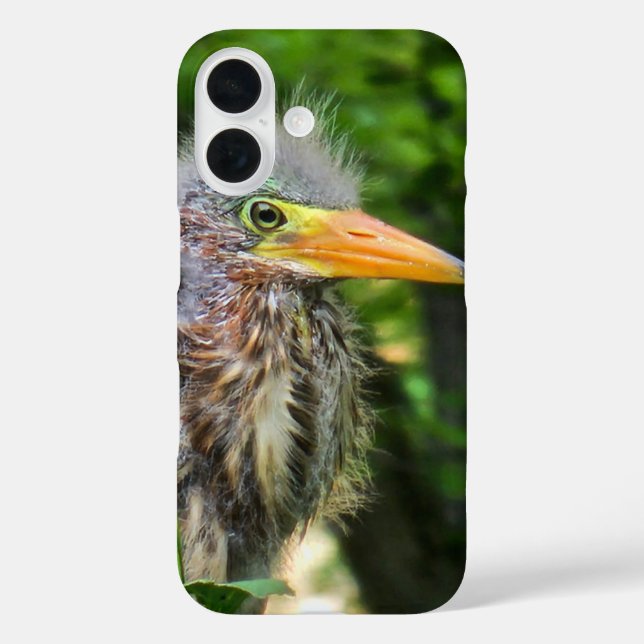 Funda iPhone 16 Un bebé de garza verde (Reverso )