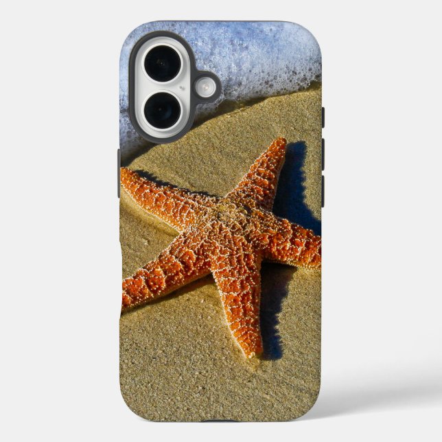 Funda iPhone 16 Un pez estrella en la playa (Reverso )