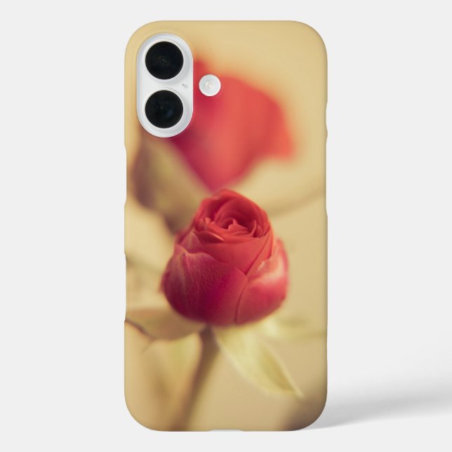 Funda iPhone 16 Una rosa roja para tu amor... (Reverso )