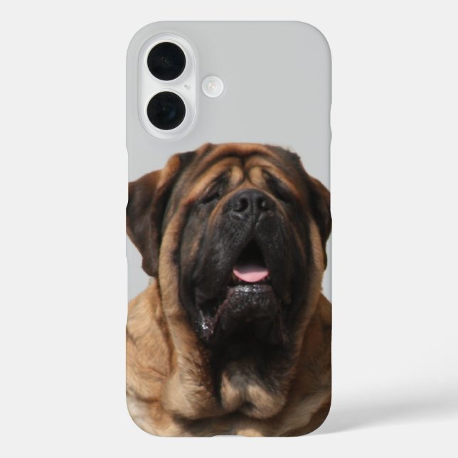 Funda iPhone 16 Vacaciones Mastín Inglés Mastín (Reverso )