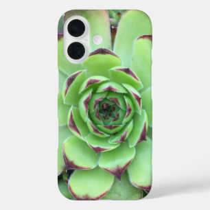 Funda iPhone 16 Verde con puntas moradas exitosa foto de primer pl
