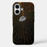 Web araña iluminada en la oscuridad