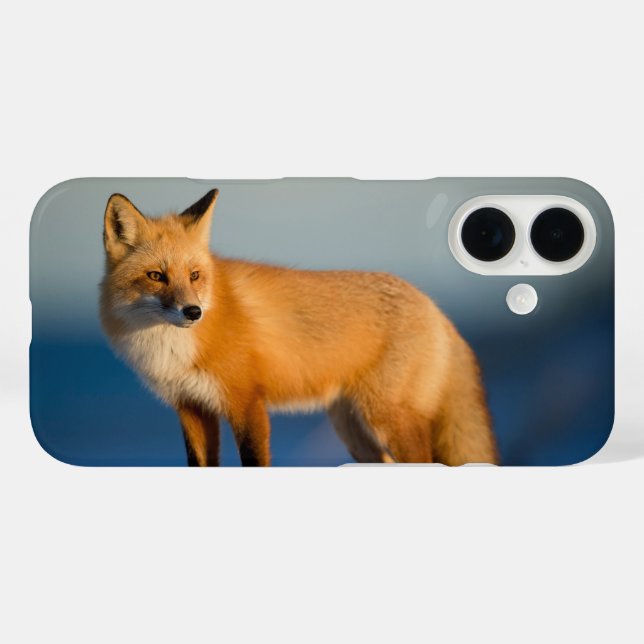 Funda iPhone 16 Zorro marrón (Reverso (Horizontal))