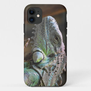 FUNDA IPhone 5 con cabeza de lagarto de Iguana