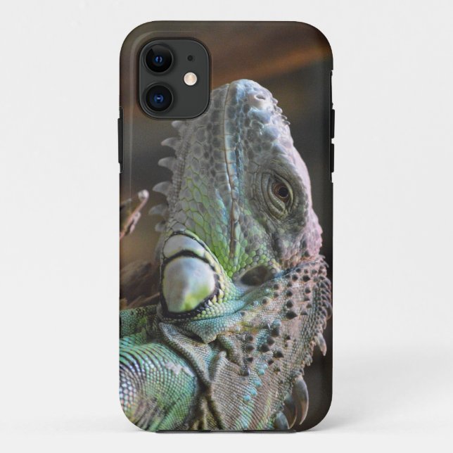FUNDA IPhone 5 con cabeza de lagarto de Iguana (Reverso)