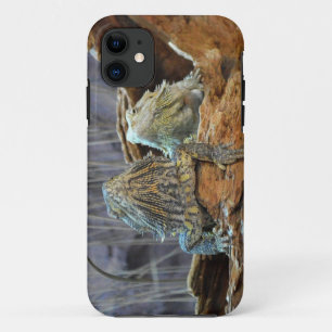 FUNDA IPhone 5 con dos lagartos curiosos